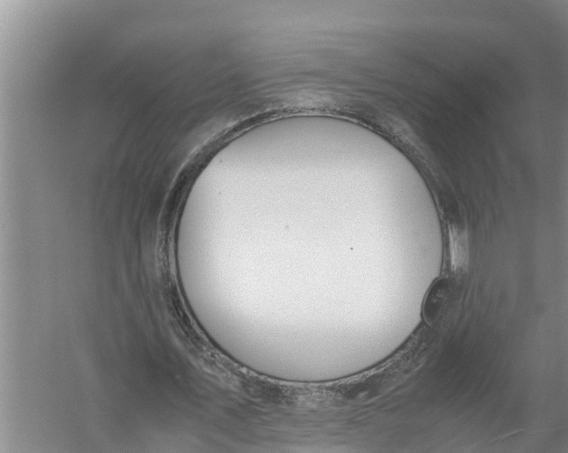 X0000058130579200510072007