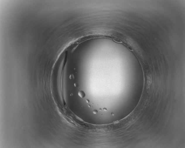 X0000058130580200510072007