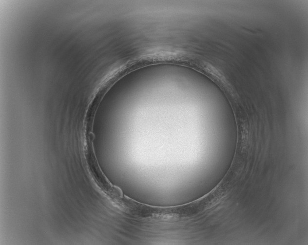 X0000058130582200510072007