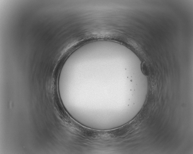 X0000058130583200510072007