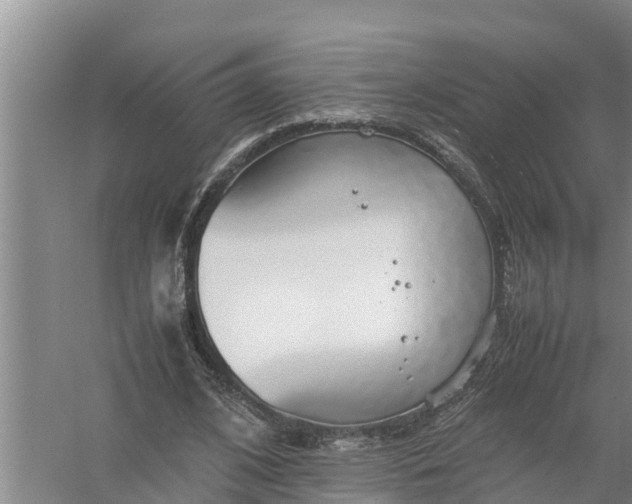 X0000058130584200510072007