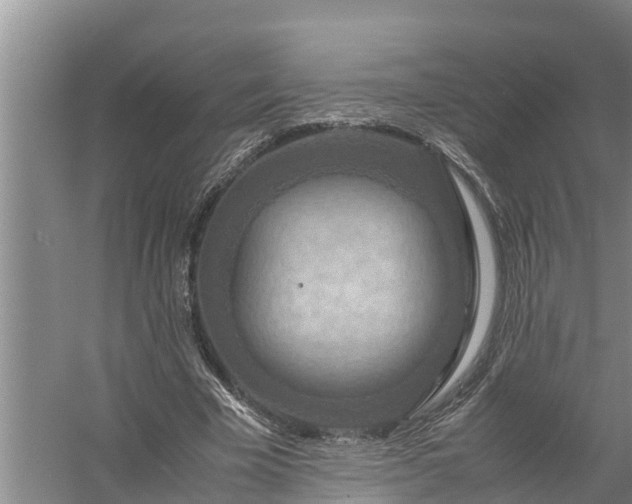 X0000058130585200510072007