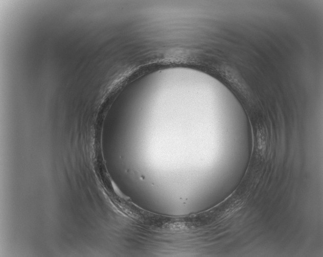 X0000058130588200510072007