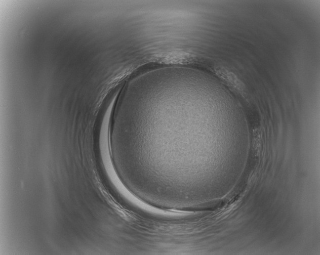 X0000058130589200510072007