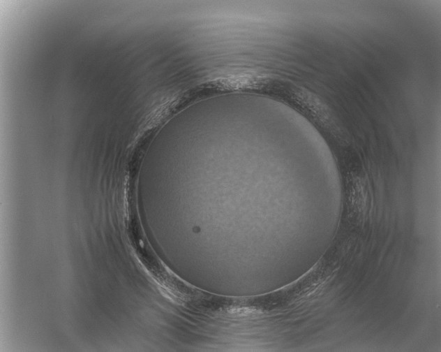 X0000058130590200510072007