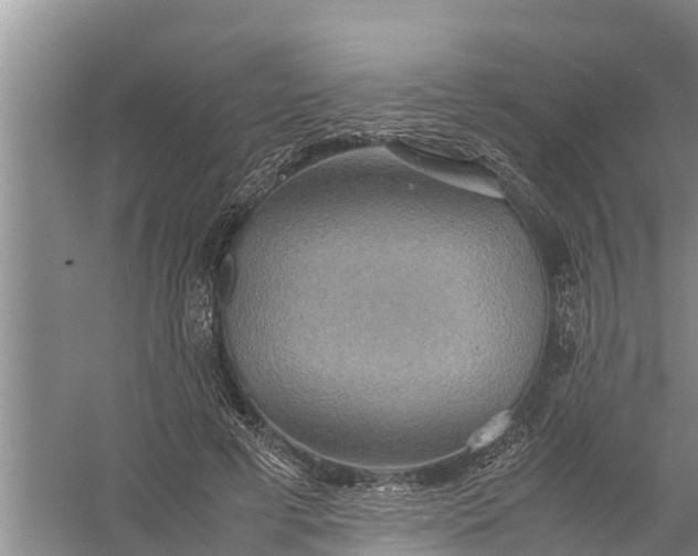 X0000058130593200510072007