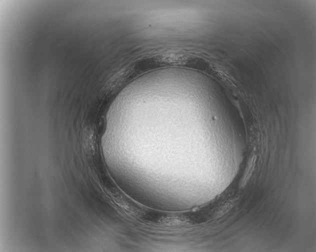 X0000058130597200510072007