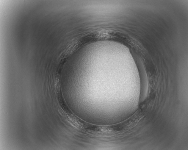 X0000058130601200510072007