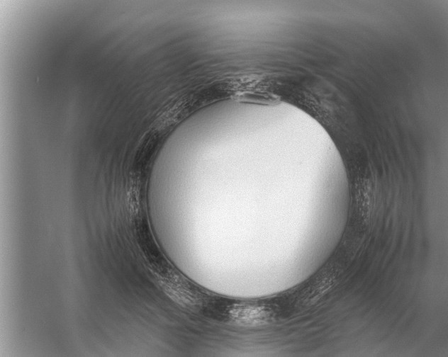 X0000058130602200510072007