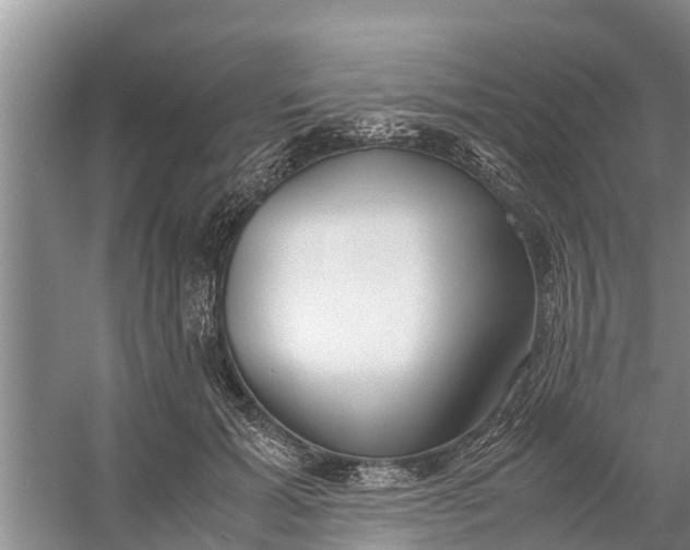 X0000058130605200510072007