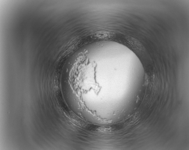 X0000058130606200510072007