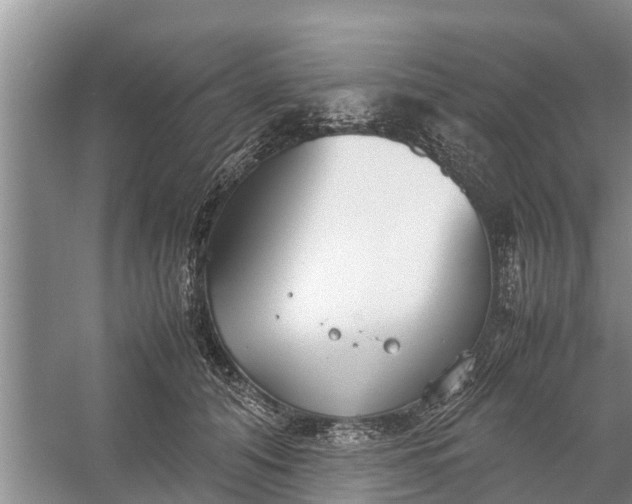 X0000058130608200510072007