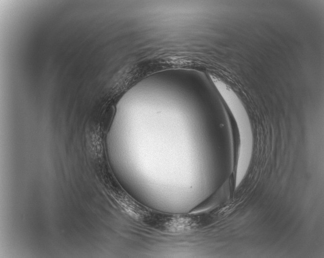 X0000058130609200510072007