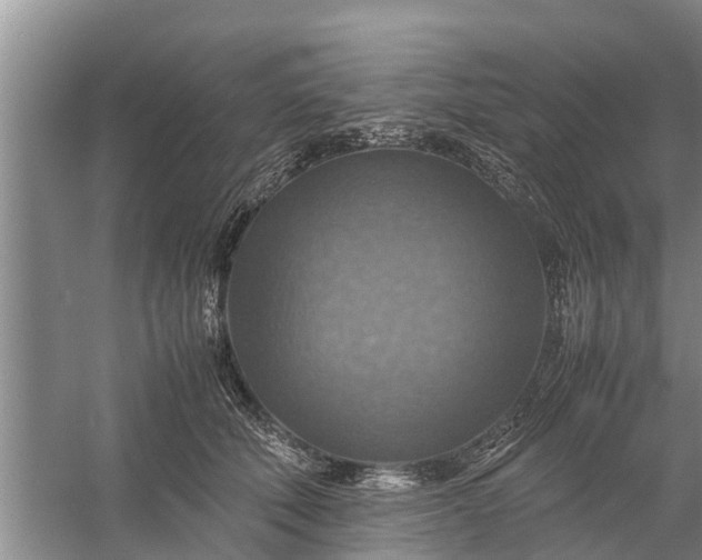 X0000058130610200510072007