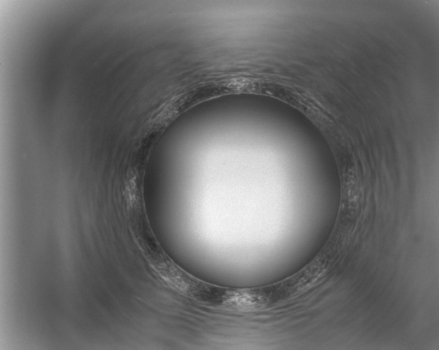 X0000058130611200510072007