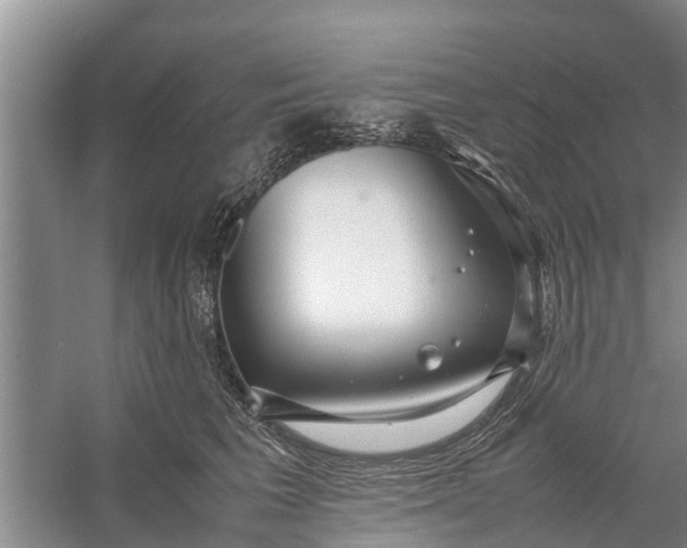 X0000058130613200510072007