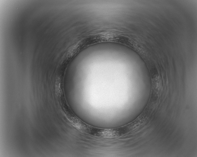 X0000058130615200510072007