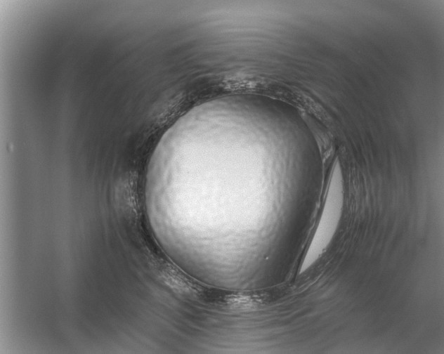 X0000058130616200510072007