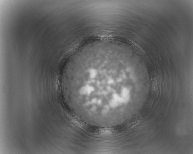 X0000058130618200510072007