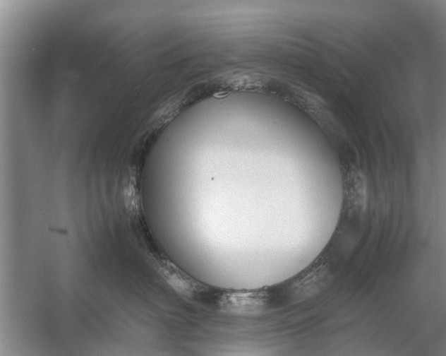 X0000058130622200510072007