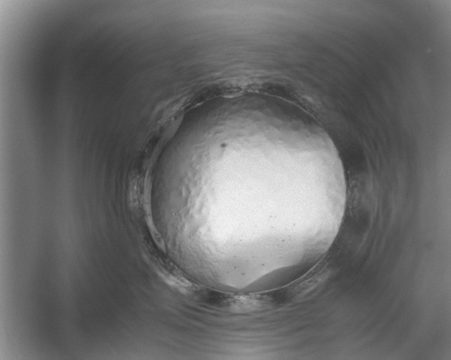 X0000058130623200510072007