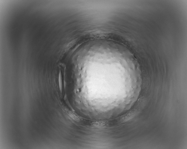 X0000058130624200510072007