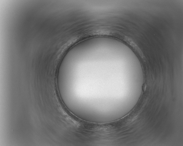 X0000058130625200510072006