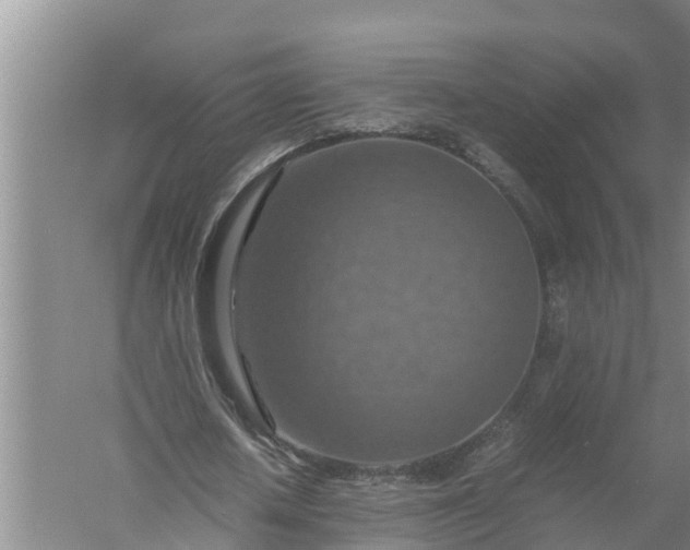 X0000058130626200510072006