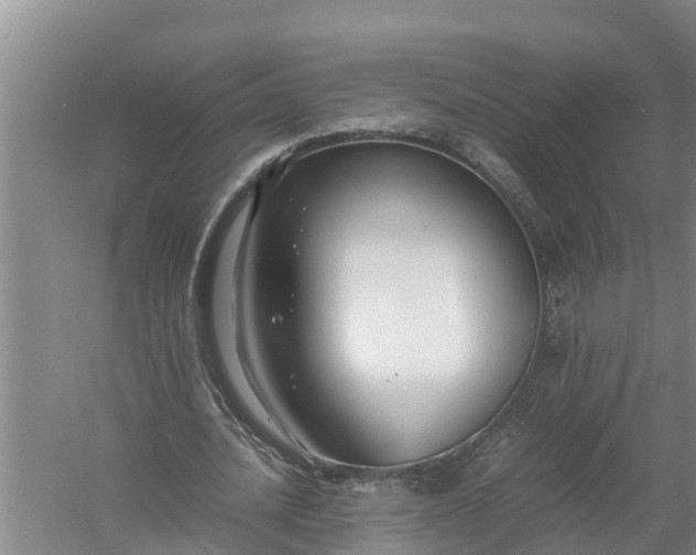 X0000058130628200510072006