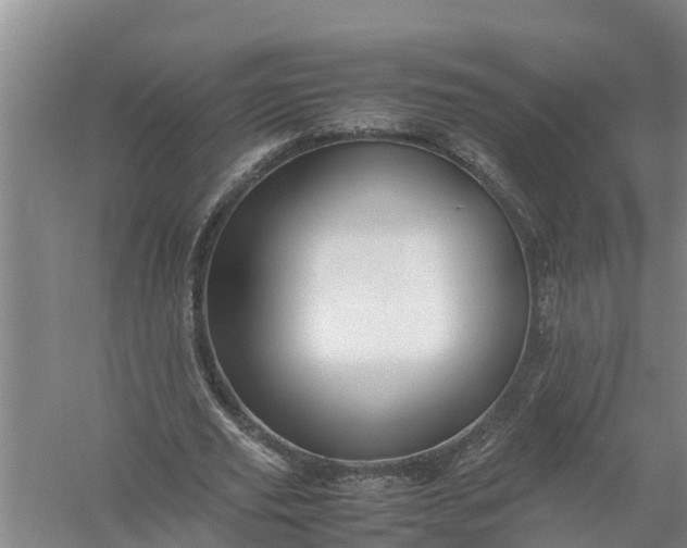 X0000058130629200510072006