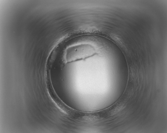 X0000058130630200510072006