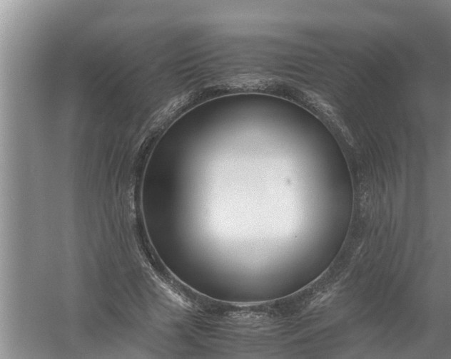 X0000058130633200510072006