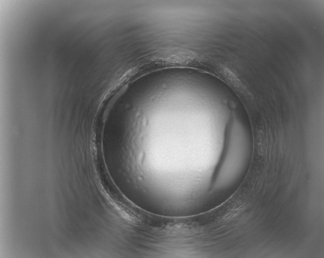 X0000058130634200510072006