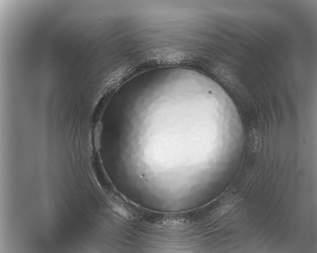 X0000058130638200510072006