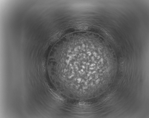 X0000058130641200510072006