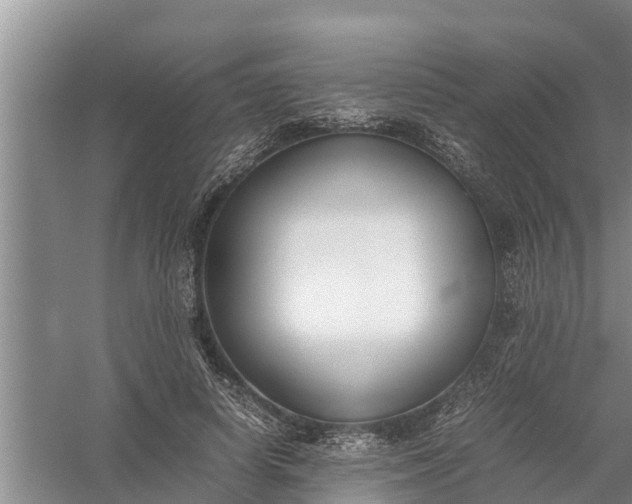 X0000058130642200510072006