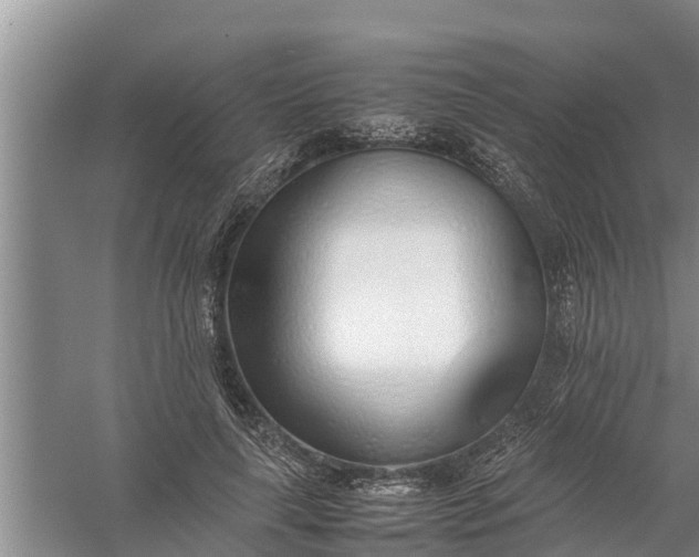 X0000058130643200510072006