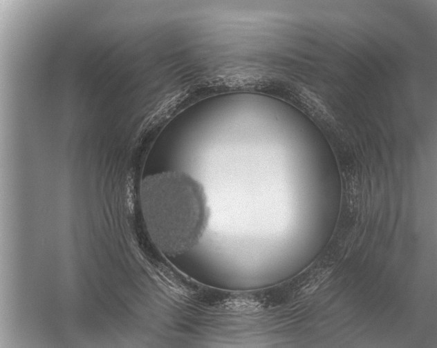 X0000058130644200510072006