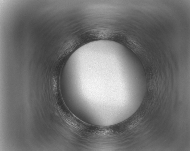 X0000058130646200510072006