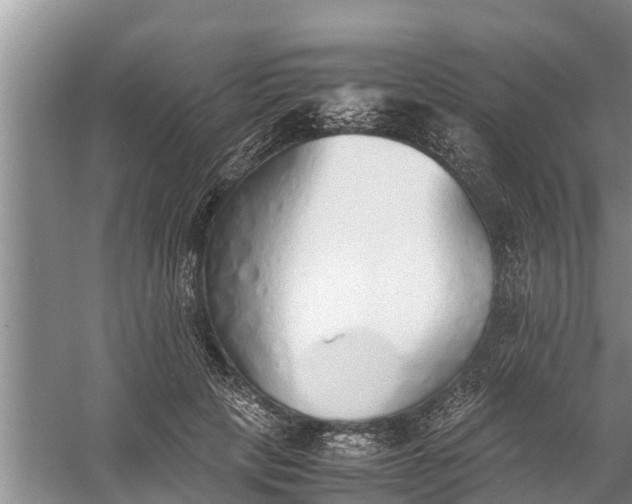 X0000058130649200510072006