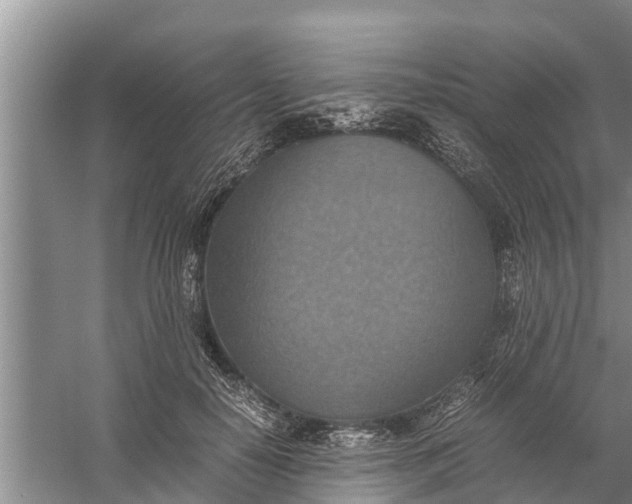 X0000058130650200510072006