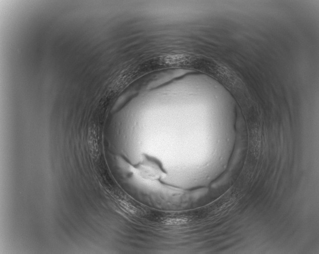 X0000058130653200510072006