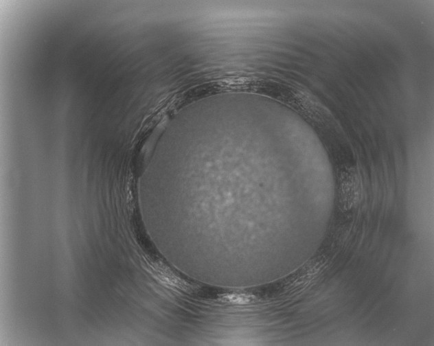 X0000058130654200510072006