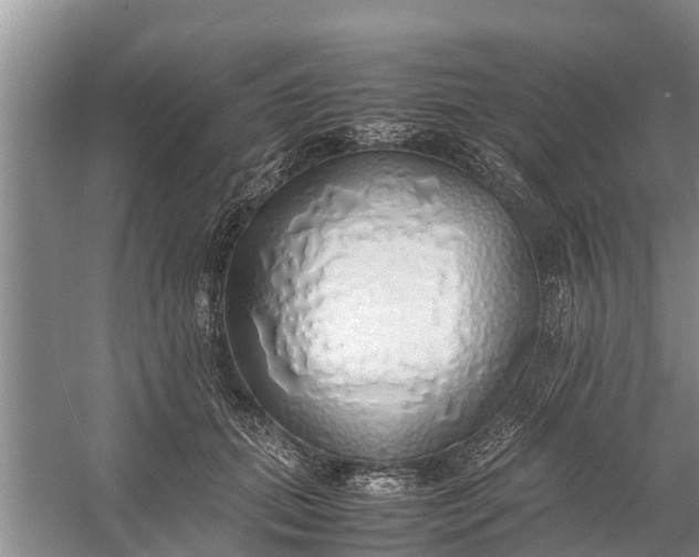 X0000058130655200510072006