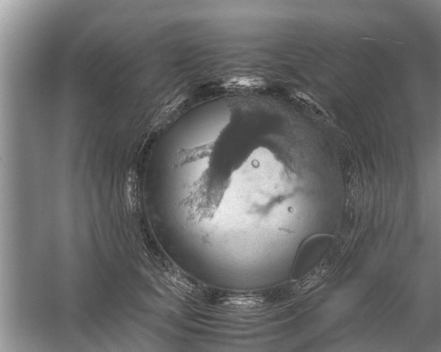 X0000058130659200510072006