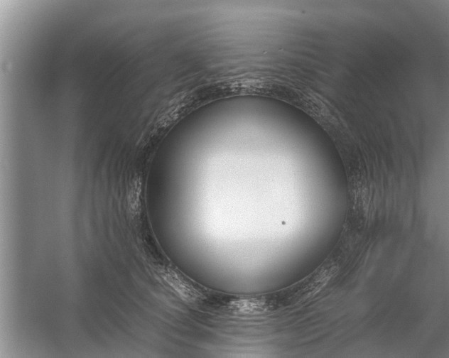 X0000058130660200510072006