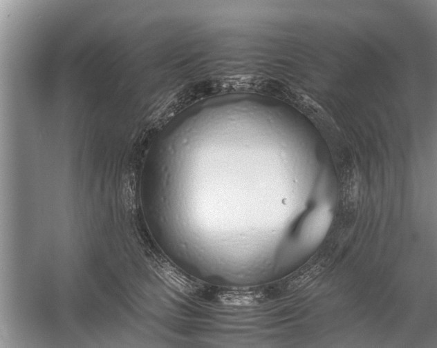 X0000058130661200510072006