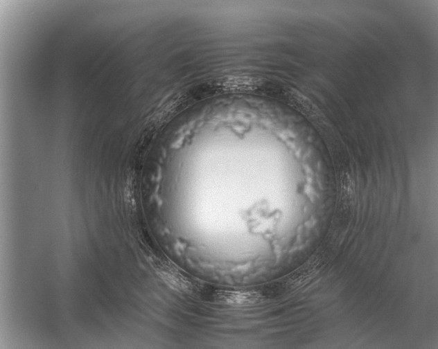 X0000058130663200510072007