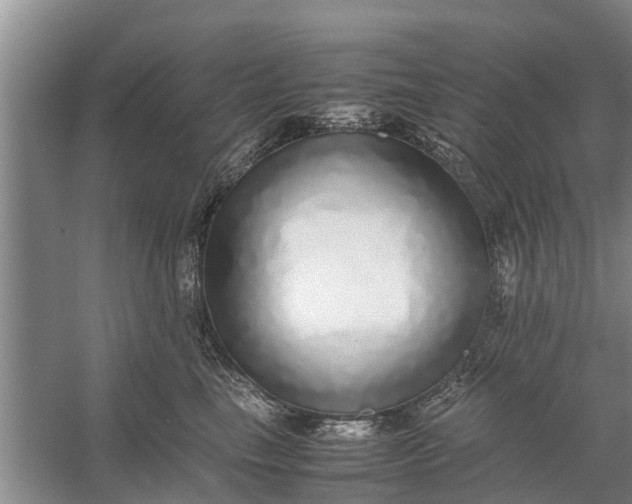 X0000058130665200510072007