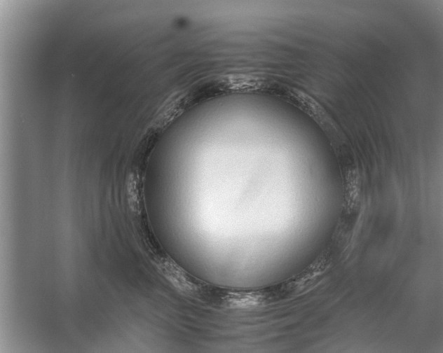 X0000058130667200510072007